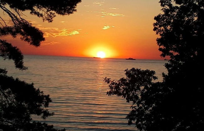 8 "nordstern" in Haus Atlantic - Photo 12