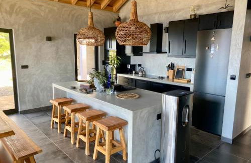 Atlantis Pico - Photo 2