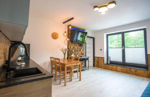 Apartament Muszyna - Foto 12