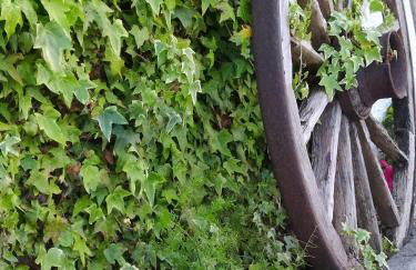 LA GRANDA DE LA CONCHA - Foto 11