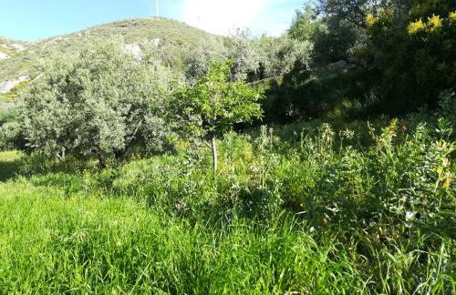 Bancal de Los Pérez - Foto 40