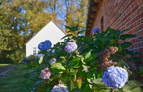 Backhus Nordkampen - Foto 30