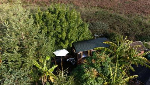 Poldhu - Couples Retreat - Pet Friendly - Free Parking & WiFi - Foto 5, Garden