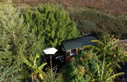 Poldhu - Couples Retreat - Pet Friendly - Free Parking & WiFi - Foto 5