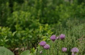 Residence Verdeblu - Foto 77