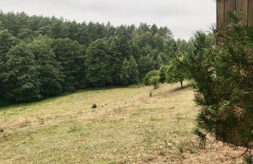 Na skraju gaju - Foto 38