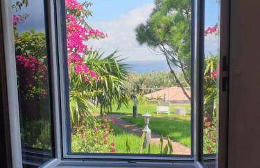 Vila Pilar Mar - Rural Apartment in the Countryside of São Miguel - Photo 4