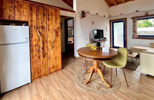 Flora e Fauna House - Photo 7