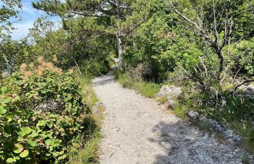 Casa Camilla - Foto 60