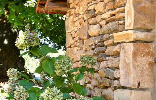 Domaine De La Licorne - Foto 8