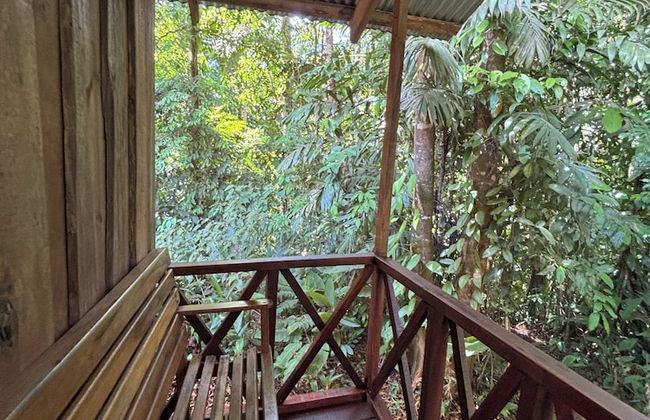 Citronela Lodge Corcovado - Foto 10