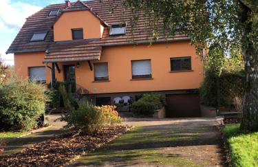 Grand appartement au cœur de la région alsacienne - Photo 2