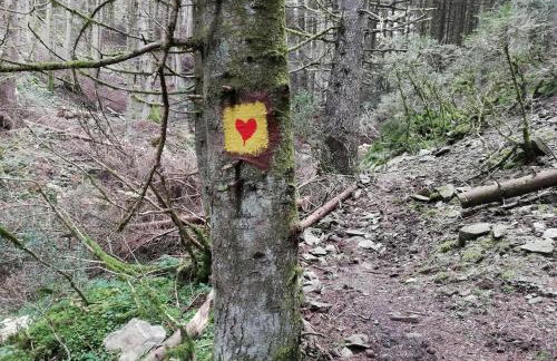 Olympus Country House - Foto 33