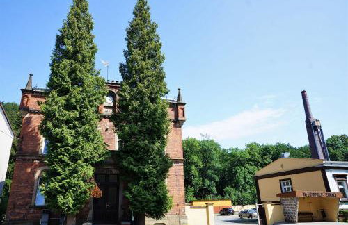 Kot Pocztowy - Foto 56