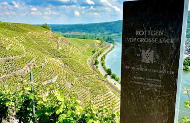 Winelicious - Arrive & Enjoy - Foto 8