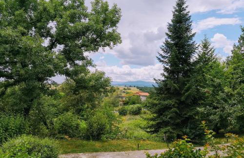 Zenios Dionysos - Traditional villa - Foto 77