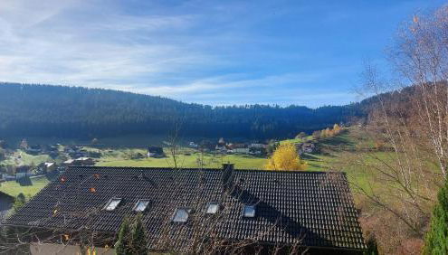 Haus Wiedenberg - Foto 5