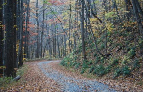 DO NOT Book property sold requested removal multiple times without luck Shenandoah NP Old Rag and White Oak Canyon - Foto 16