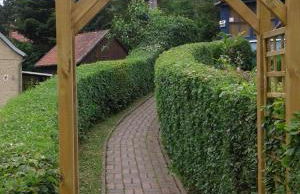 Bubi Niedlich - Foto 43