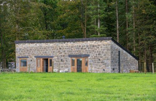 Murmur y Coed - Foto 24