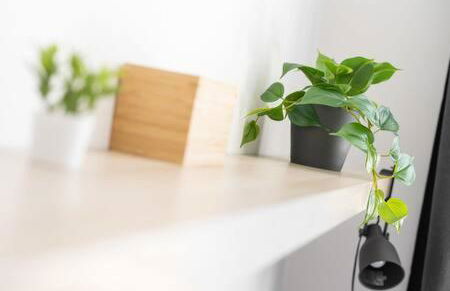 Oktoberfest Oasis for up to 12 - Foto 17