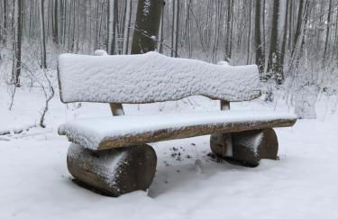 Ferienwohnung Auszeit am Kurpark Bad Berka - auch im Frühling toll! # Balkon # ruhige Lage # gratis Parkplatz & WLAN # Nähe Weimar # Weimarer Land - Photo 39