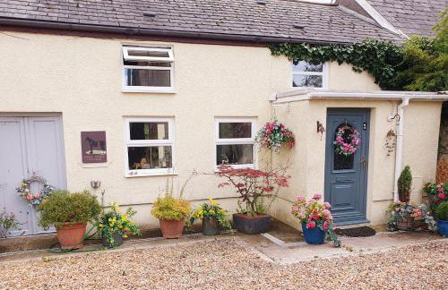 Cute Quirky Cottage - Photo 7