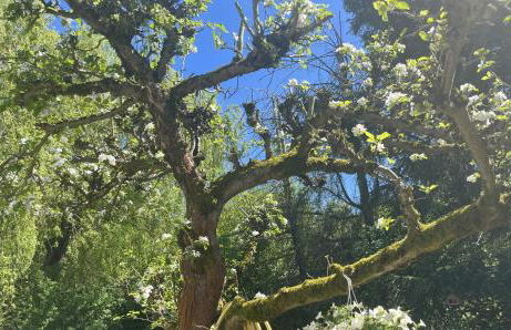 Ferienhäuschen Landidyll - Foto 12