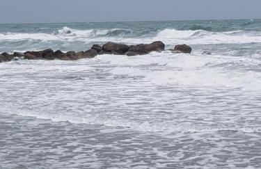 La Galiote, T2 vue port, terrasse et parking - Foto 38