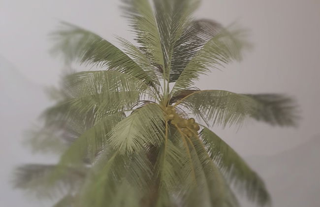 Three House Hotel - Foto 35