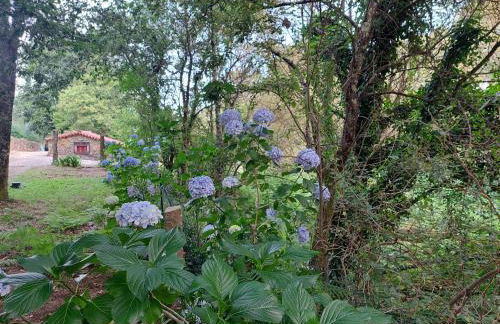 Moinho do Formigal - Foto 42