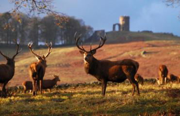 Lovely 2 Bedroom 2 Bathroom Apartment with Parking - Foto 28