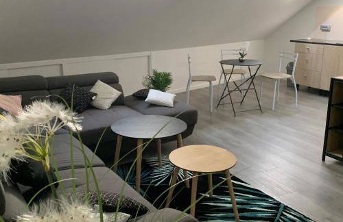 Appartement 4 PERSONNES EMPLACEMENT IDEAL PROCHE DES 24H ET GARE - Foto 20