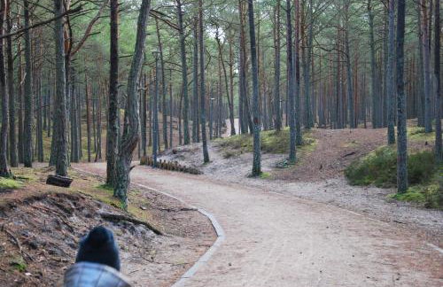 Forest House Sasino-SPA Sauna Balia - Foto 71