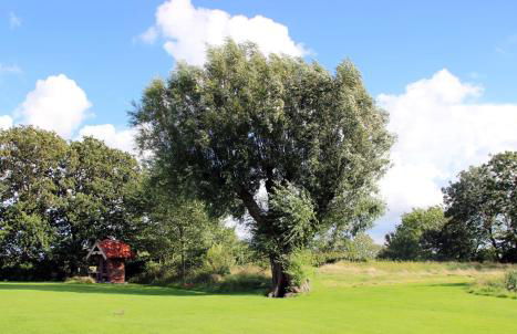 Haus Rungholt - Foto 15