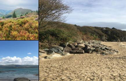 Glasfryn Cottage Dolgellau - Foto 10