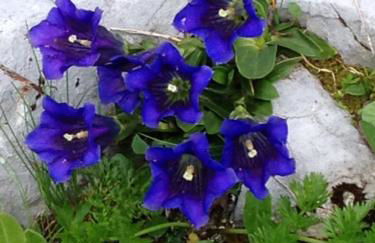 La Clé des Champs - Foto 12