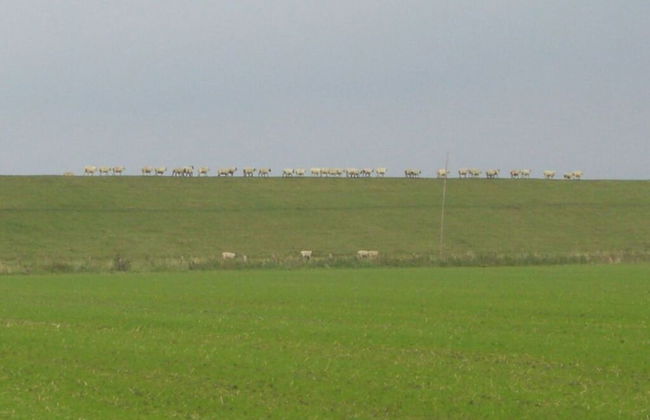 Beach Hair Friesian Residence - Foto 12