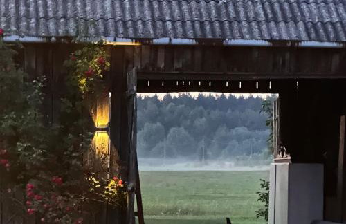 Siedlisko Magnolia - Foto 58