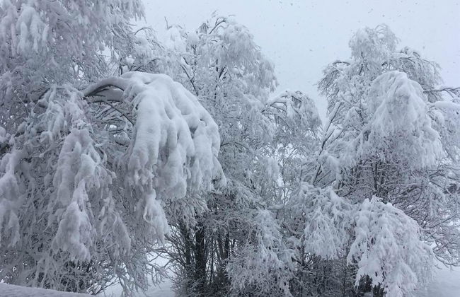 Chalet Lerchweid Lenk - Foto 18