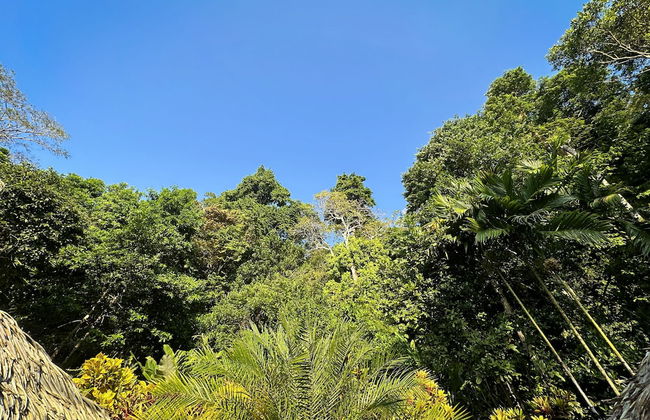 Casa Vida Verde - Foto 42