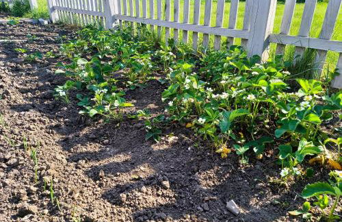 Całoroczny dom w sercu Mazur - Photo 16