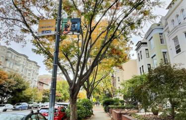 Calvert Cottage 3 - Perfect Location in Adams Morgan and Authentic Charm - Foto 6