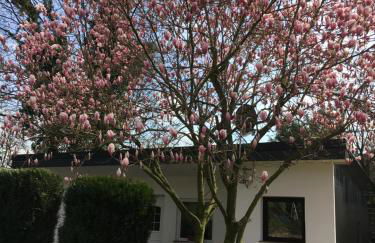 Privat Residence Boardinghouse Meerbusch Nähe Messe Düsseldorf Flughafen - Photo 24