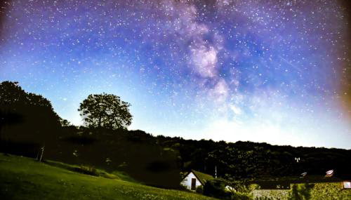 The Roost in the Blackdowns - Photo 4