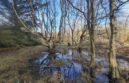 Seevilla Wietjes Whg 7 - Foto 33