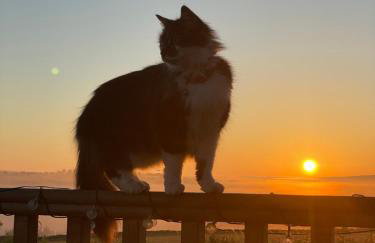 Cuddles & Bubbles Cozy Cabin with jacuzzi spa hot tub - Foto 22