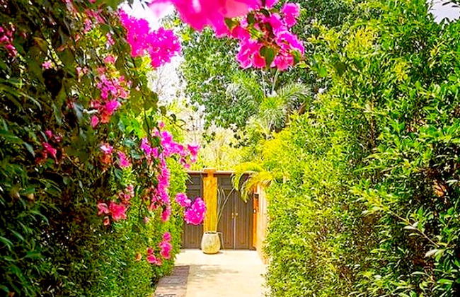 Alanta Villa - Photo 38