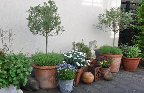 Rureifel FEWO - Foto 11