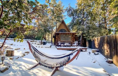 Wildland Zen Den Tiny House Retreat with Fireplace Grill AC Hammock Record Player Musical Instruments Pets OK - Foto 35